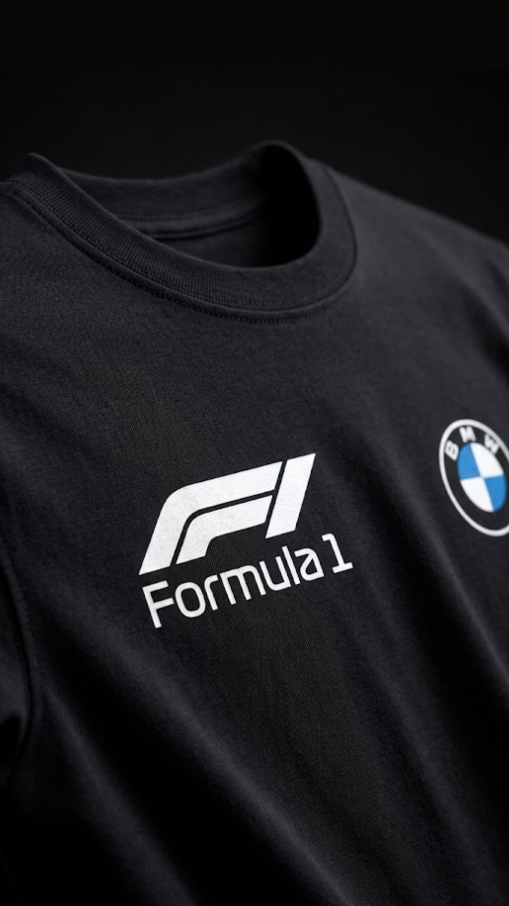 BMW FORMULA 1