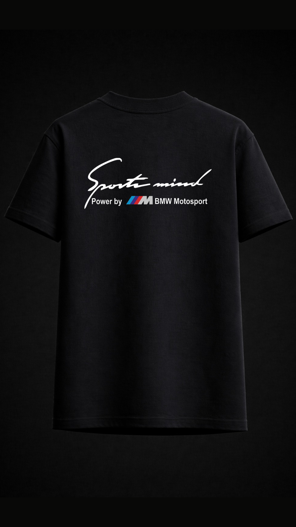BMW FORMULA 1