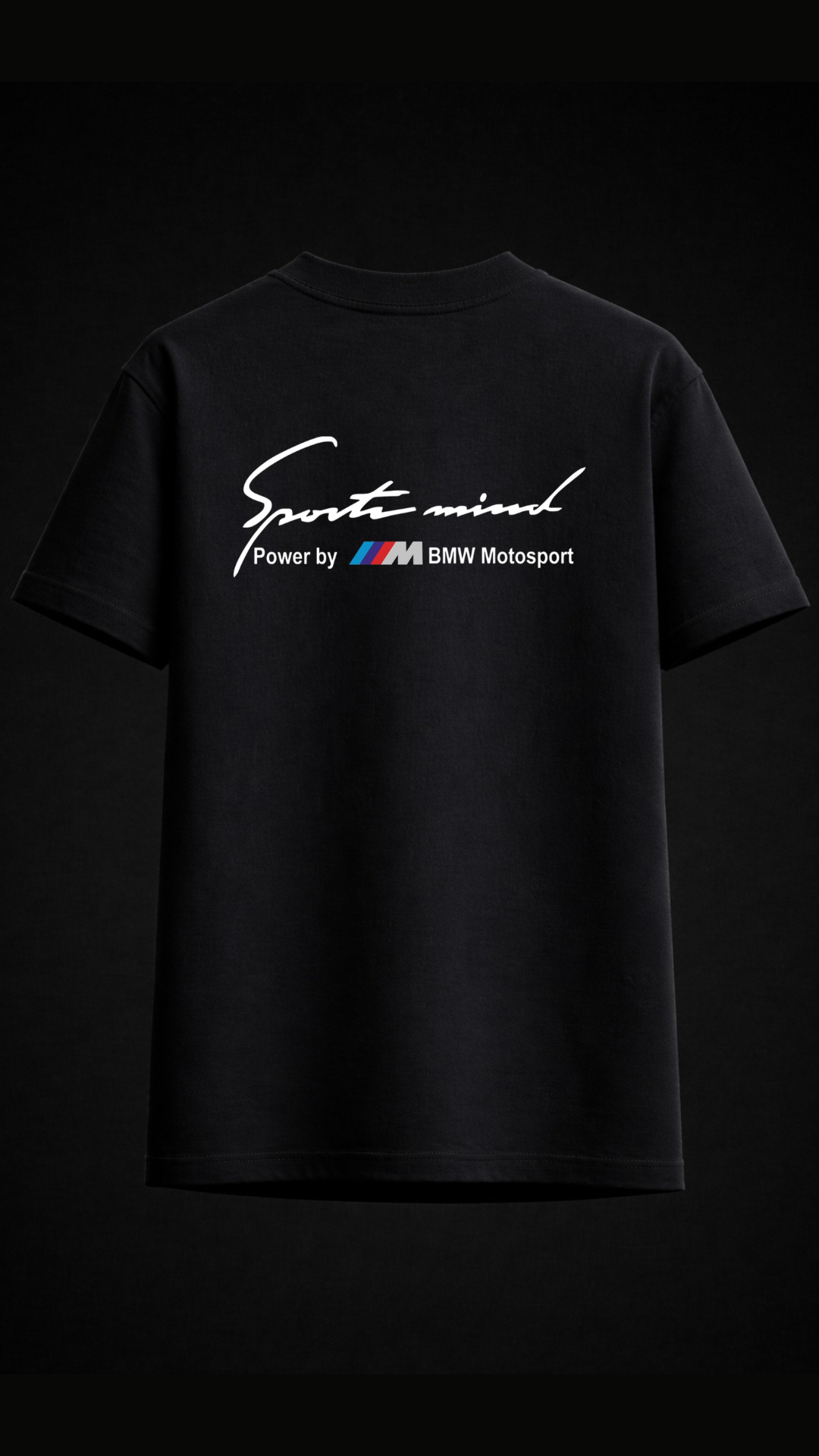 BMW FORMULA 1